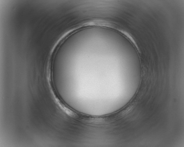 X0000072491131200607140903