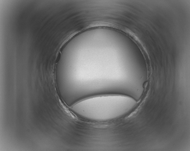X0000072491137200607140904