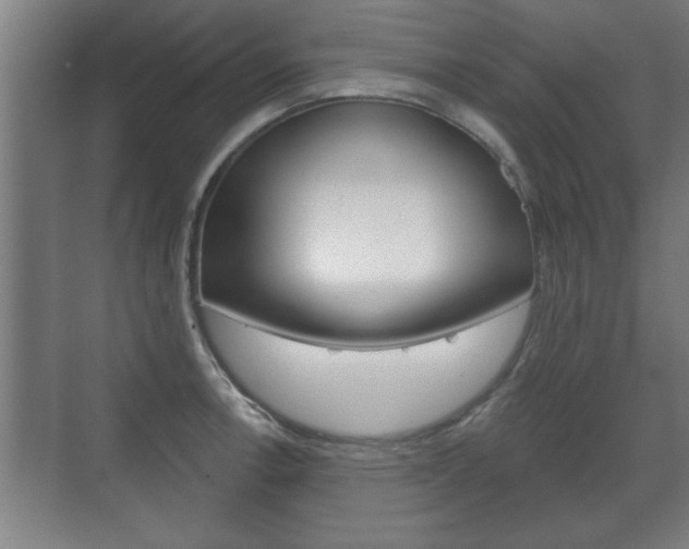 X0000072491138200607140904