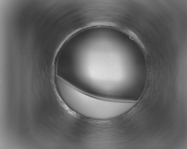 X0000072491140200607140904