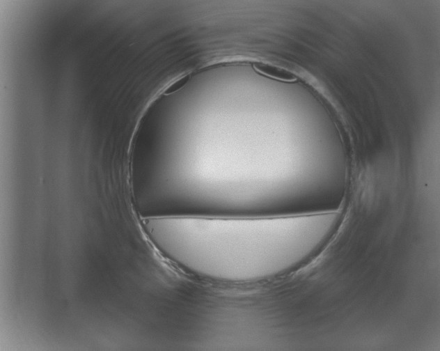 X0000072491145200607140904