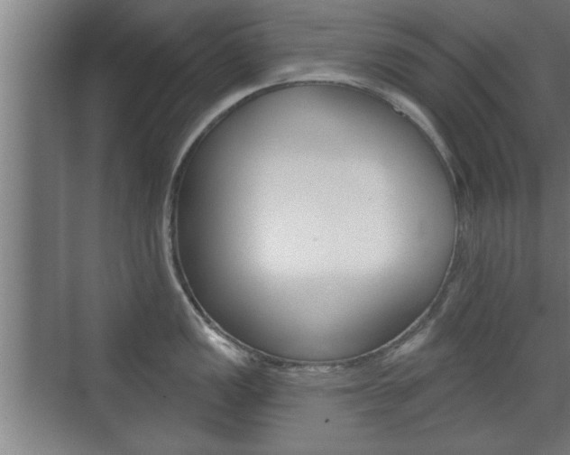 X0000072491149200607140904