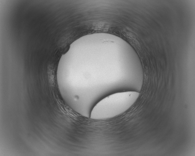 X0000072491154200607140903