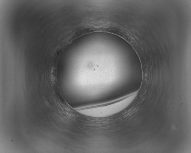 X0000072491156200607140903