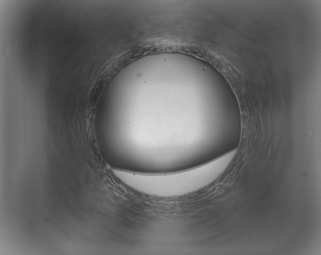 X0000072491157200607140903