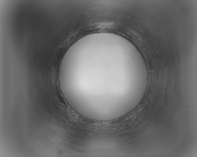 X0000072491158200607140903