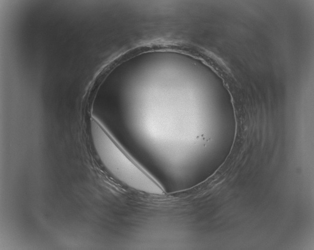 X0000072491160200607140903