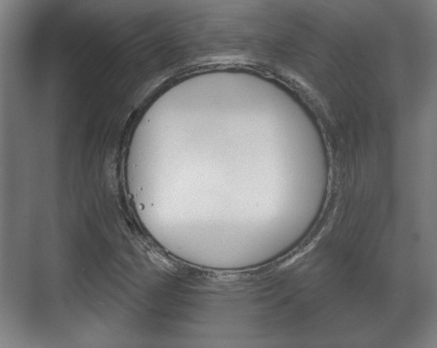 X0000072491162200607140903
