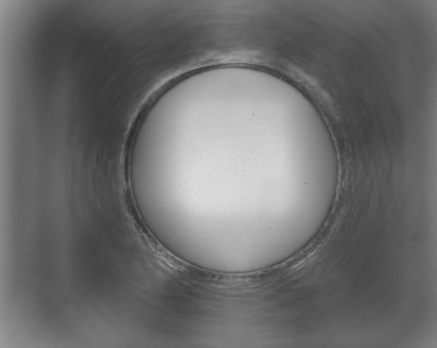 X0000072491174200607140903