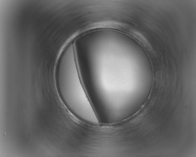 X0000072491180200607140903