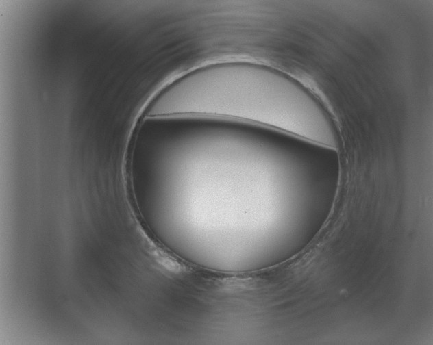 X0000072491181200607140903