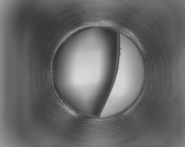 X0000072491184200607140902