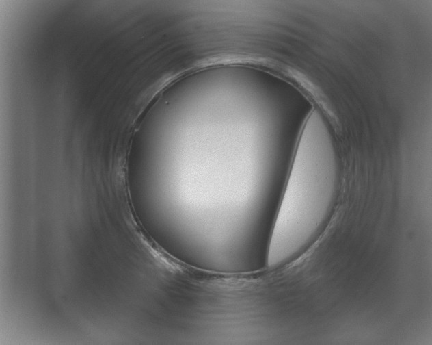 X0000072491185200607140902