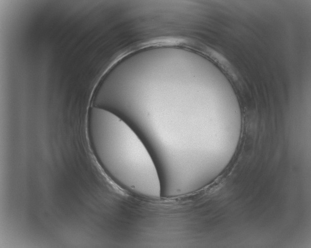 X0000072491186200607140902