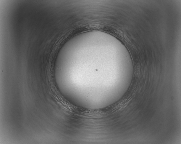 X0000072491201200607140901