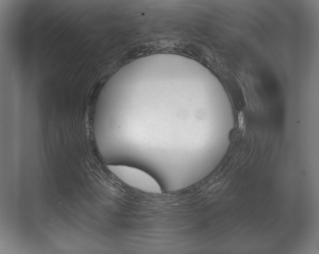 X0000072491203200607140901