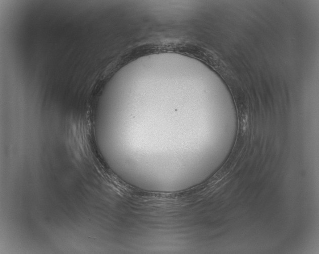 X0000072491204200607140901