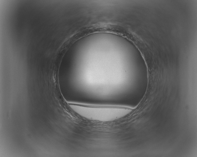 X0000072491206200607140902