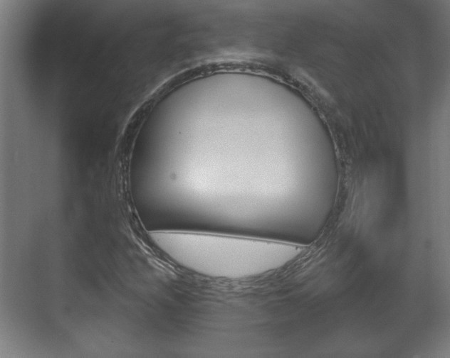 X0000072491208200607140902