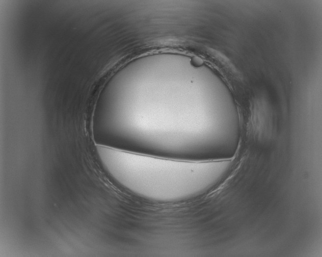 X0000072491209200607140902