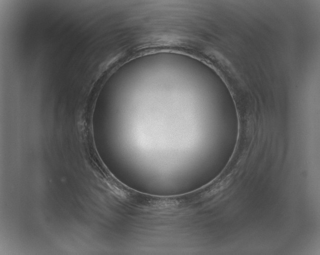 X0000072491210200607140902
