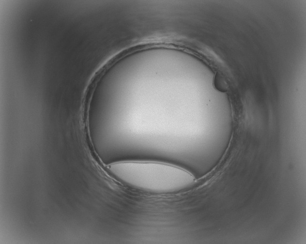 X0000072491216200607140902