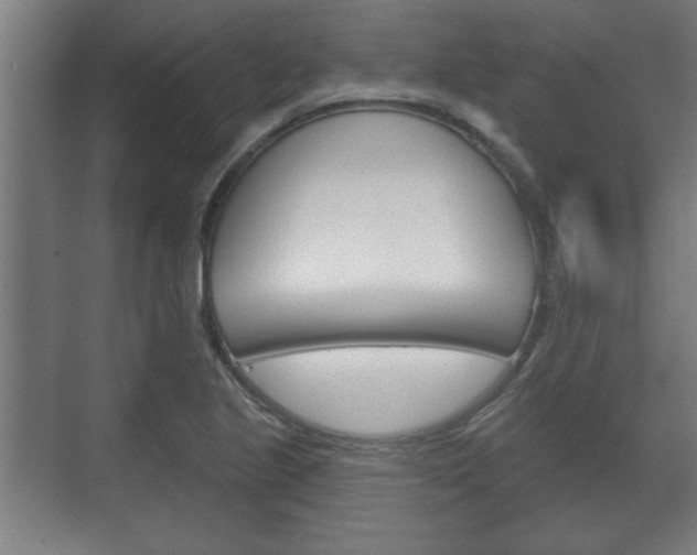 X0000072491221200607140902