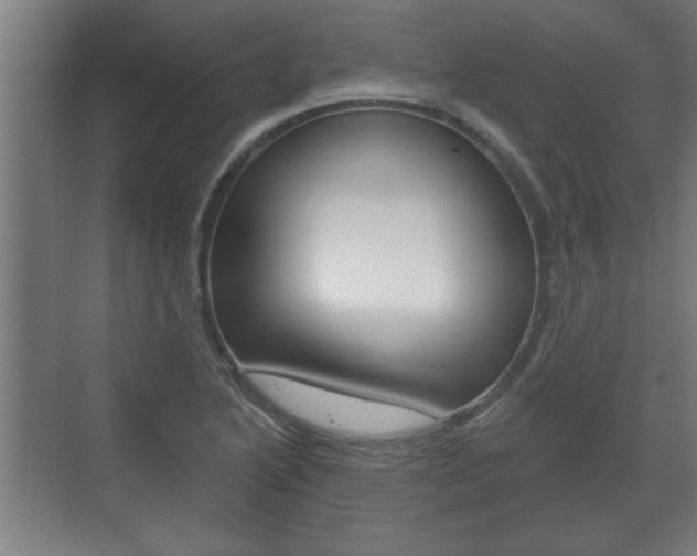 X0000072491222200607140902
