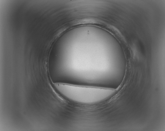 X0000072491225200607140902
