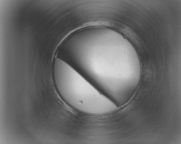 X0000072491228200607140902