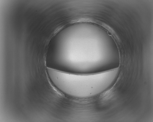 X0000072491241200607140902