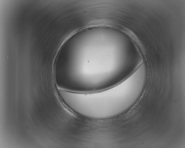 X0000072491242200607140902