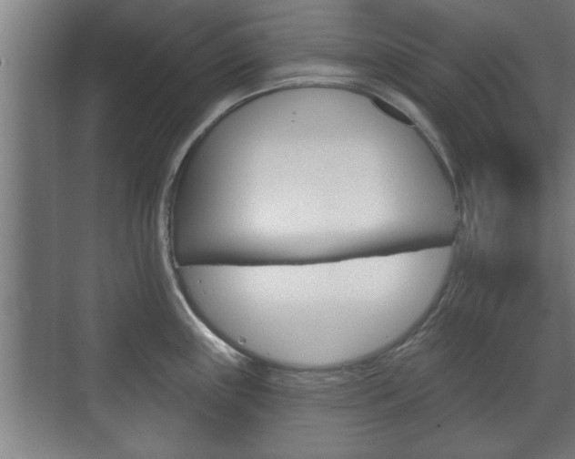 X0000072491243200607140902