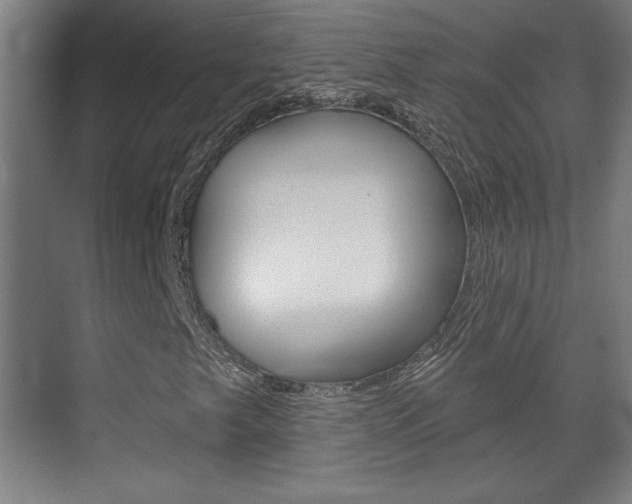 X0000072491249200607140901