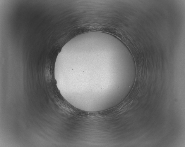 X0000072491250200607140901