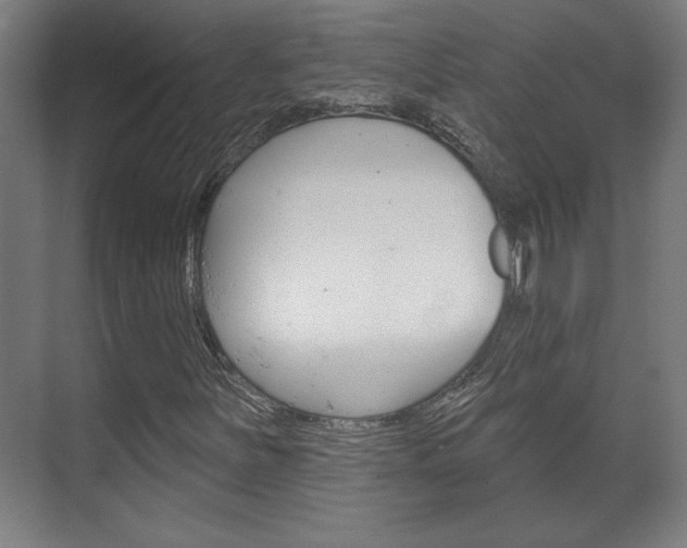 X0000072491251200607140901