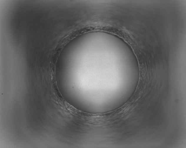 X0000072491253200607140901
