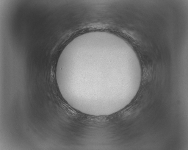 X0000072491254200607140901