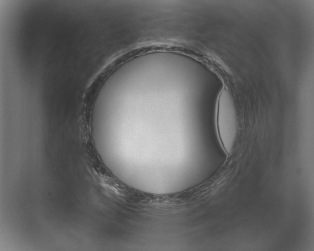 X0000072491256200607140901