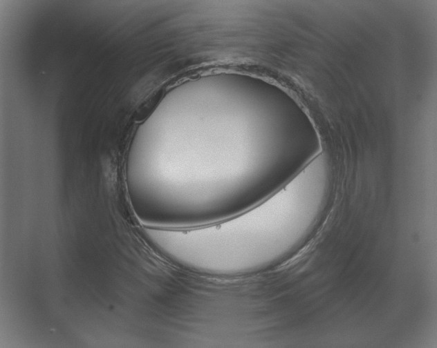 X0000072491257200607140901