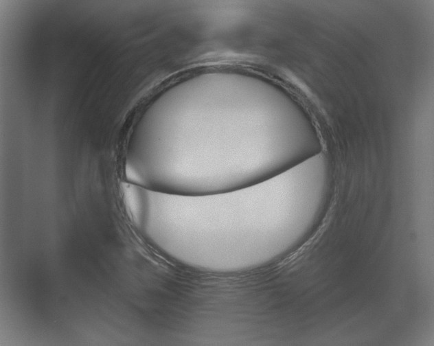 X0000072491259200607140901