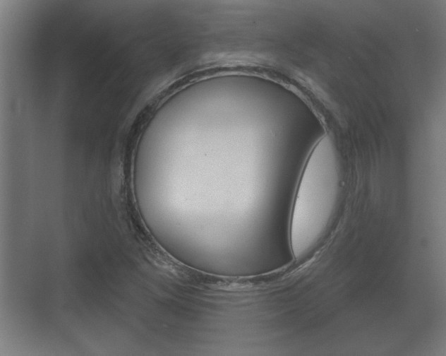 X0000072491261200607140901
