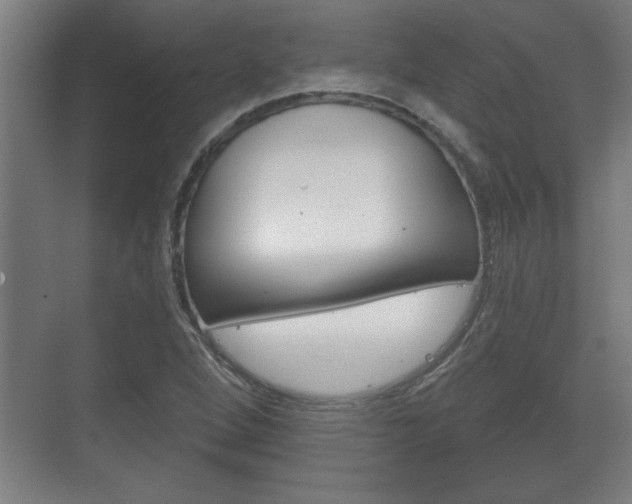 X0000072491264200607140901