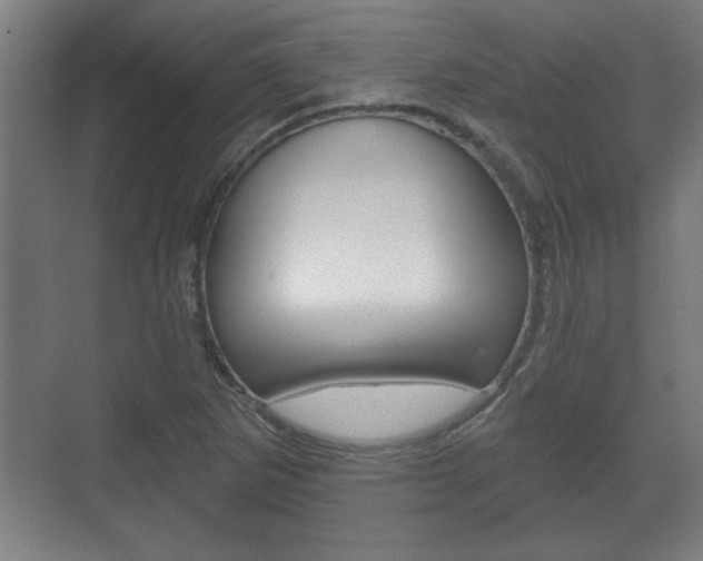 X0000072491265200607140901