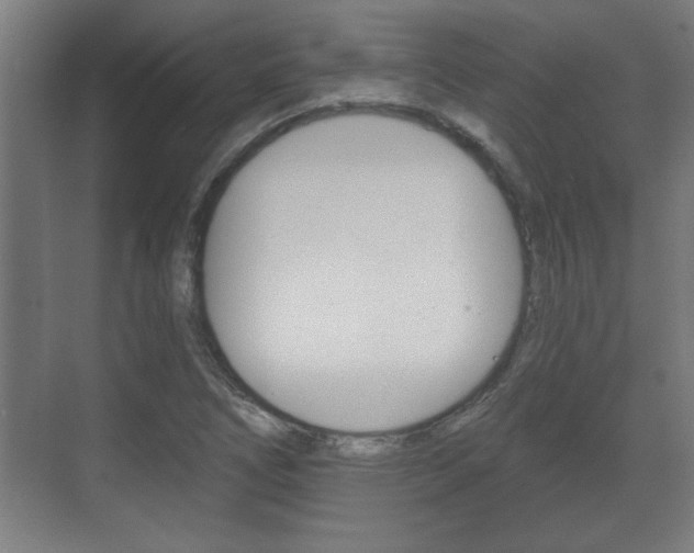 X0000072491266200607140901