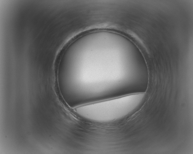 X0000072491270200607140901
