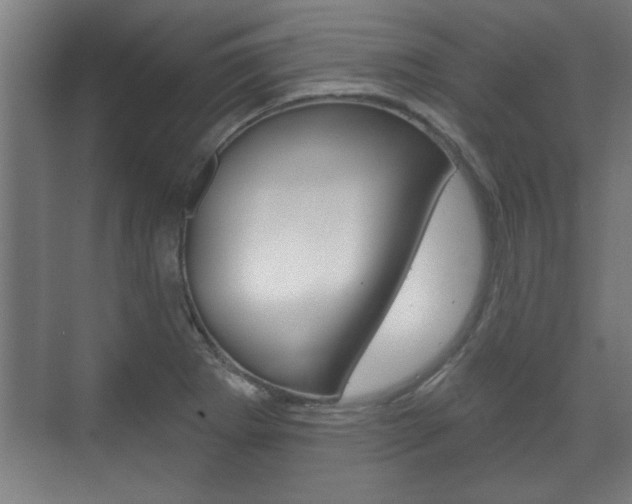 X0000072491273200607140901