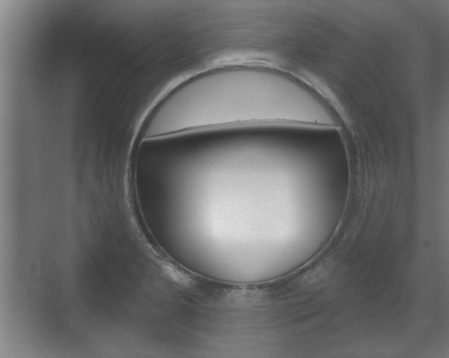 X0000072491277200607140901