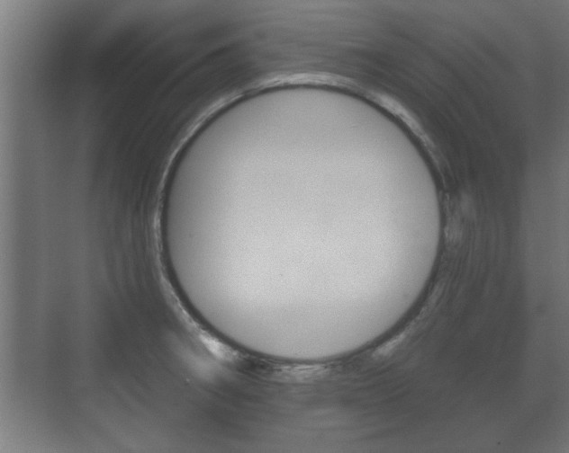 X0000072491282200607140901