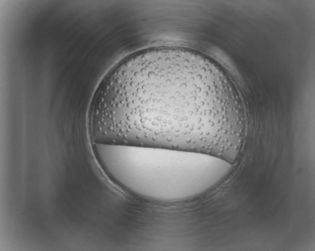 X0000072491283200607140901